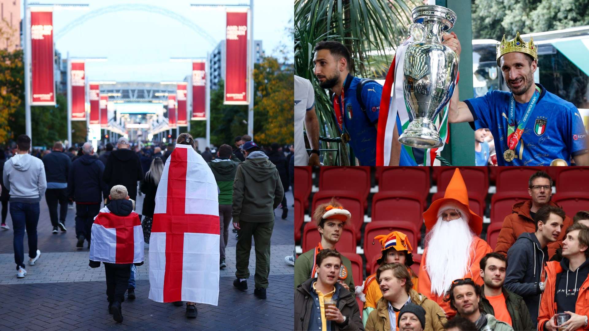 数球迷的期 数球迷的期